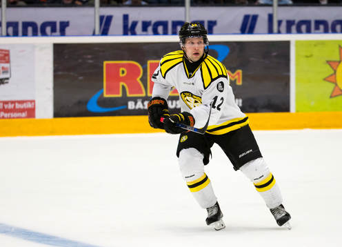 Färjestads Brynäs Petr Vrana