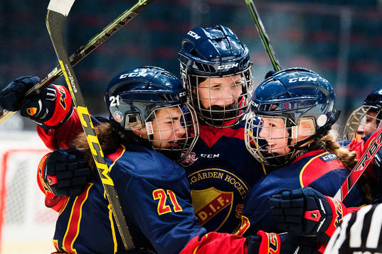 Bläddra bland fler bilder av Ishockey, Riksserien, Djurgården - Brynäs