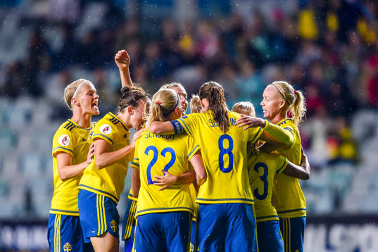 Sveriges spelare jublar