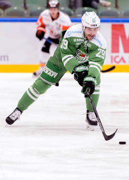 Rögles Ludvig Rensfeldt