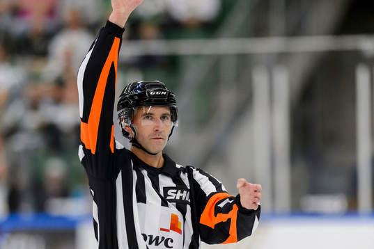 Domare Linus Öhlund
