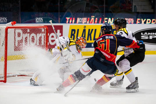 Brynäs målvakt Felix Sandström, Djurgårdens Robin