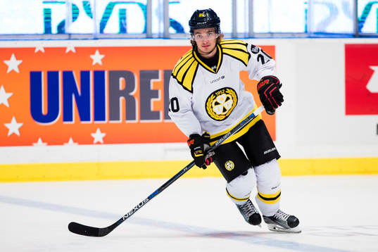 Brynäs Adam Brodecki