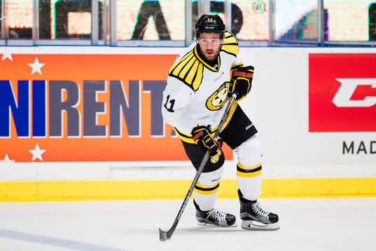 Brynäs Jesper Ollas