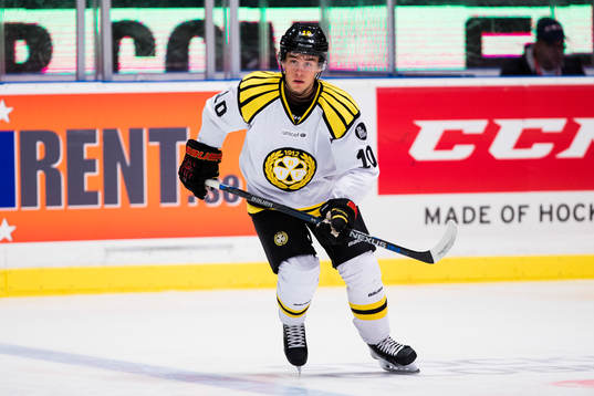Brynäs Mattias Nörstebö