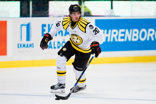 Brynäs Adam Brodecki med pucken