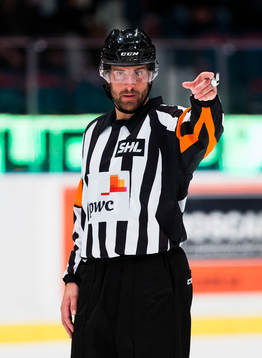 Domare Mikael Sjöqvist
