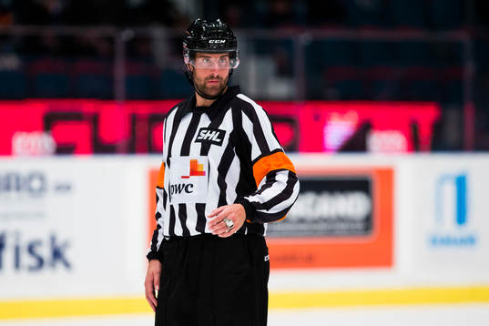 Domare Mikael Sjöqvist