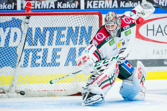 Malmö Redhawks Andreas Thuresson (ej i bild) gör 2-2
