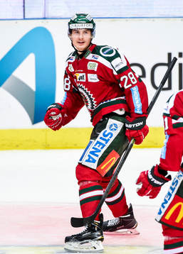 Frölundas Johan Sundström jublar