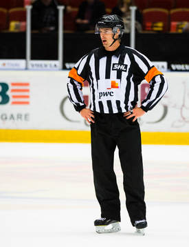 Domare Mikael Andersson