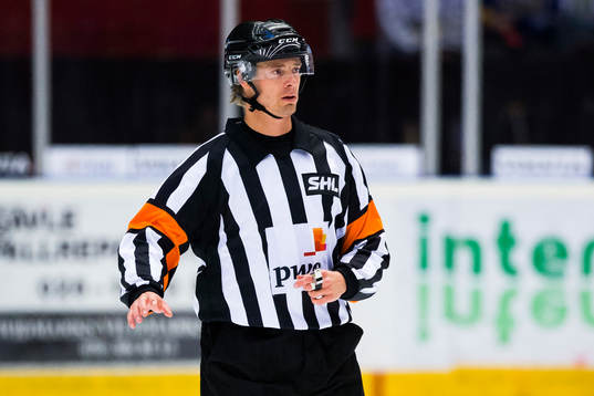 Domare Mikael Andersson