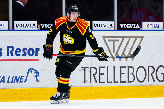 Brynäs Petr Vrana