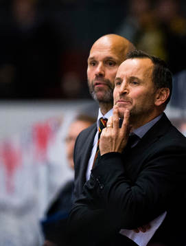 Brynäs tränare Thomas Berglund