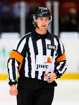 Domare Mikael Andersson