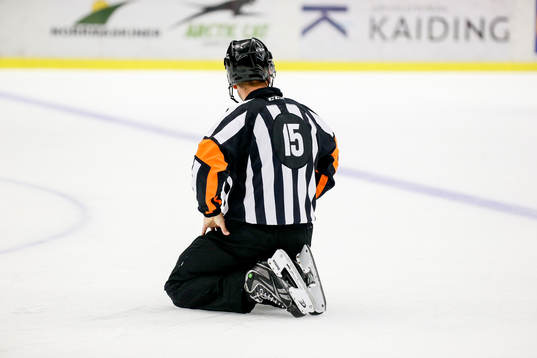 Domare Patrik Sjöberg