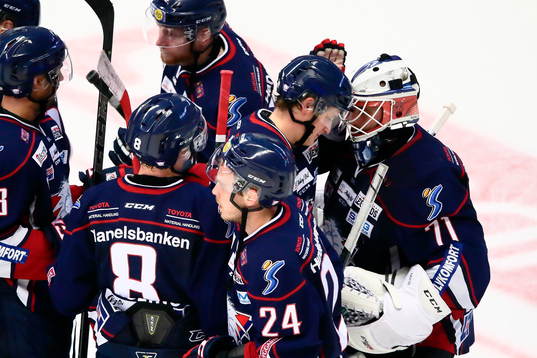 Linköpings spelare firar med Linköpings målvakt David