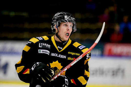 Skellefteås Niclas Burström