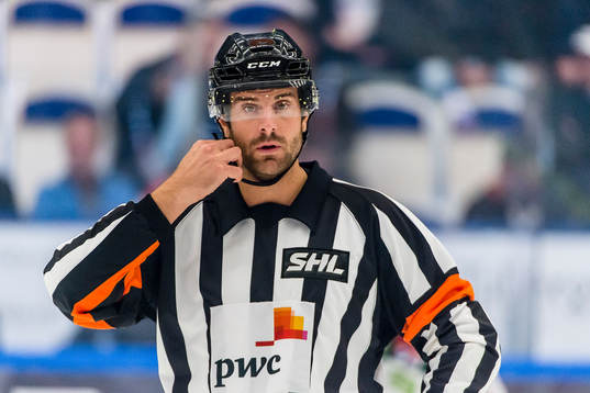 Domare Mikael Sjöqvist