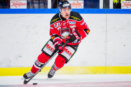 Malmö Redhawks Nils Andersson