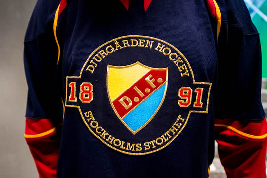 Djurgården emblem på en tröja