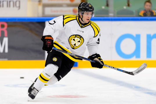 Brynäs Pathrik Westerholm