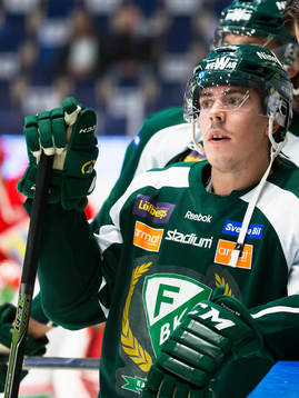 Färjestads Sebastian Erixon