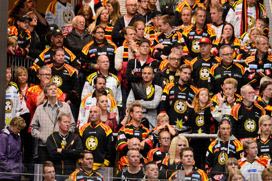 Brynäs supporters
