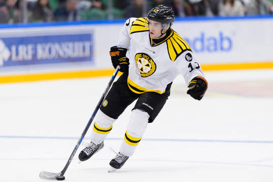 Brynäs Pathrik Westerholm