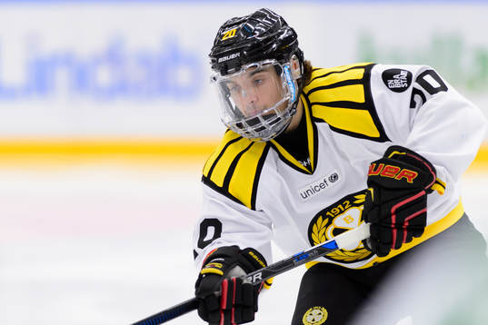 Brynäs Adam Brodecki