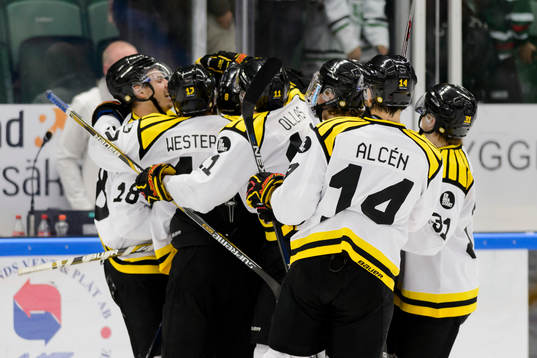 Brynäs firar segern på övertid