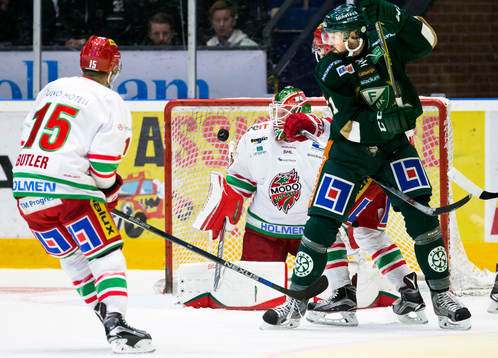 Modos målvakt Adam Reideborn fokuserar puck