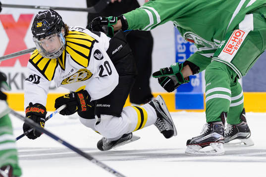 Brynäs Adam Brodecki