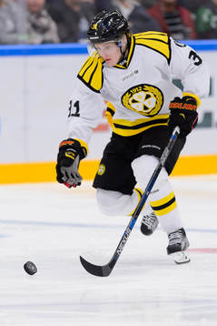 Brynäs Daniel Mannberg