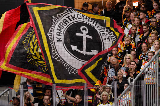 Brynäs supporters