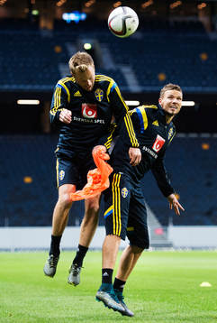 Sebastian Larsson och Marcus Berg