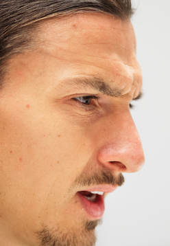 Sveriges Zlatan Ibrahimovic