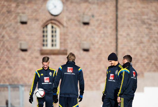 Pontus Wernbloom, Ola Toivonen, Zlatan Ibrahimovic och