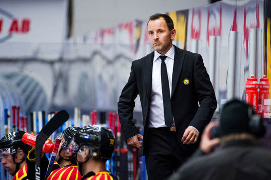 Brynäs tränare Thomas Berglund