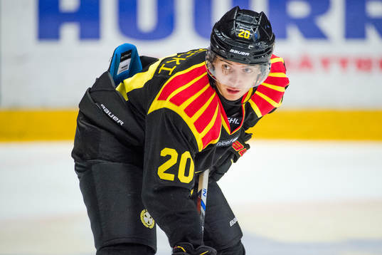 Brynäs Adam Brodecki