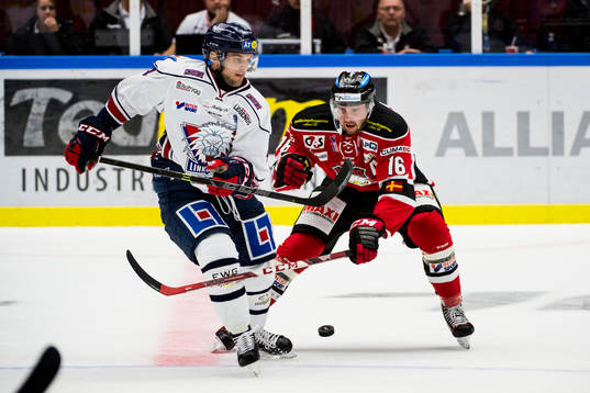 Linköpings Chad Billins och Malmö Redhawks Magnus