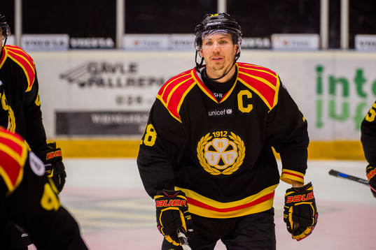 Brynäs Anton Rödin jublar