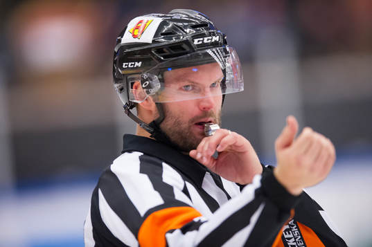 domare David Bergman