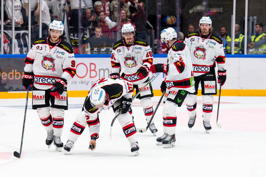 Malmö Redhawks Malmö Redhawks TJ Galiardi  plockar opp