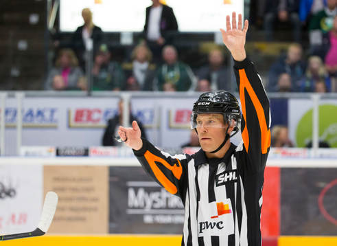 Domare Tobias Björk