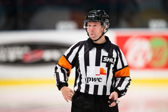 Domare Wolmer Edqvist