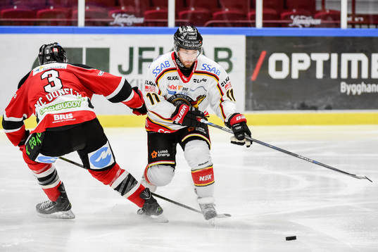 Malmö Redhawks Kent McDonell och Luleås Jacob Micflikier