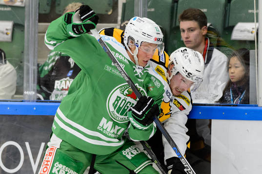 Rögles David Åslin