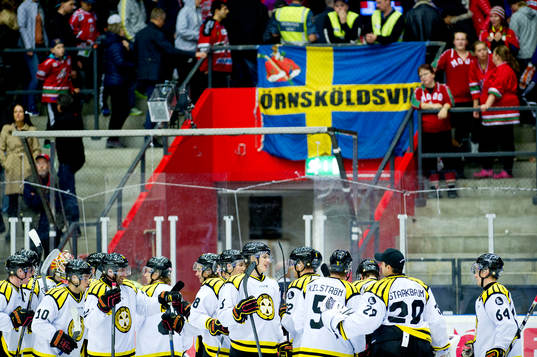 Brynäs jublar