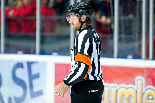 Domaren Mikael Sjöqvist